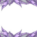 Bright frame of colorful bird feathers.. Concept of the purple feathers for the design of invitations